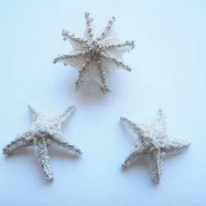 Starfish; earrings ＆ Sea urchin ; brooch