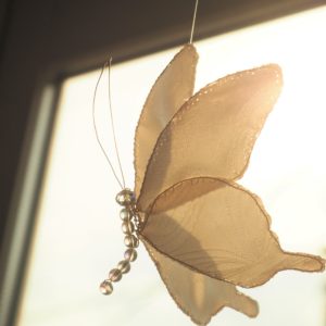 白い蝶　White Butterfly