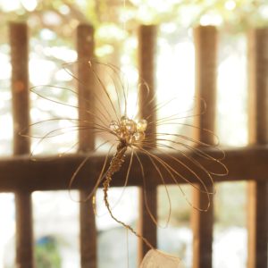 光の花　Flower of Light