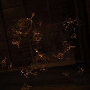 子どもたち　Children