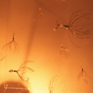 子どもたち　Children