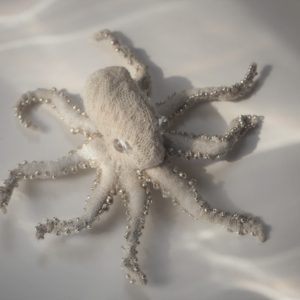 Octopus : brooch