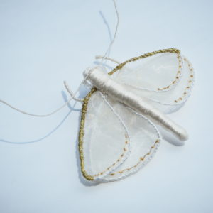 Moth I : brooch