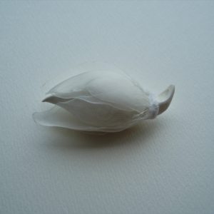 成長する花 / Growing Flower（800×400×400㎜）