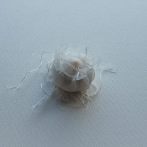 繁殖する球体Ⅰ / Breeding SphereⅠ（300×300×270㎜）