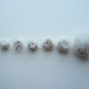 繁殖する球体 / Breeding Spheres, 1/2