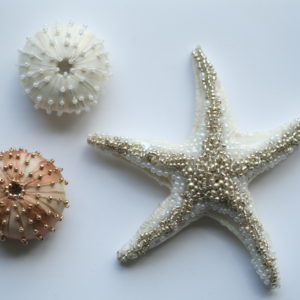 Sea Urchin & White Sea Star : brooch