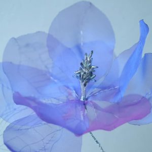 モクレン dignity (2021)