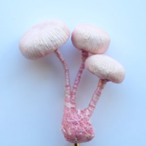 きのこのブローチ