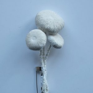 きのこのブローチ