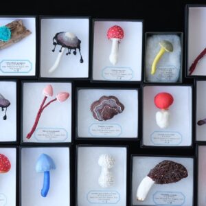 きのこブローチ （2024）