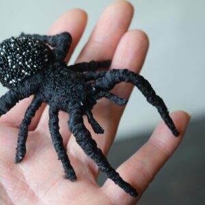 黒い蜘蛛（2024）