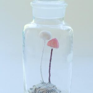 文鳥きのこ（2024 オーダー作品）